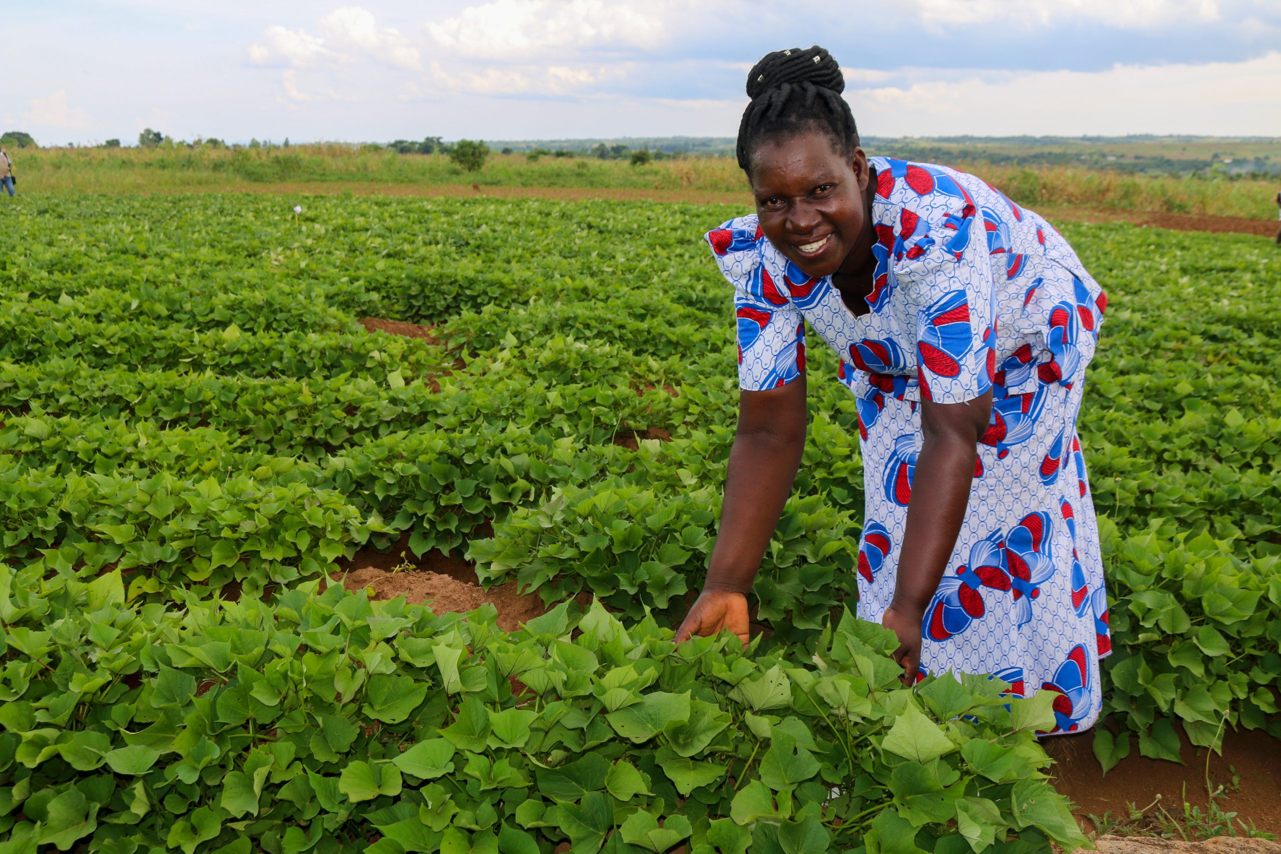 Empowering Smallholder Farmers