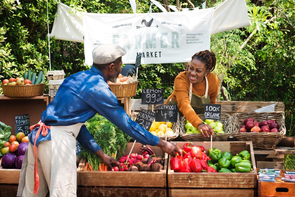 Linking Farmers to Opportunities