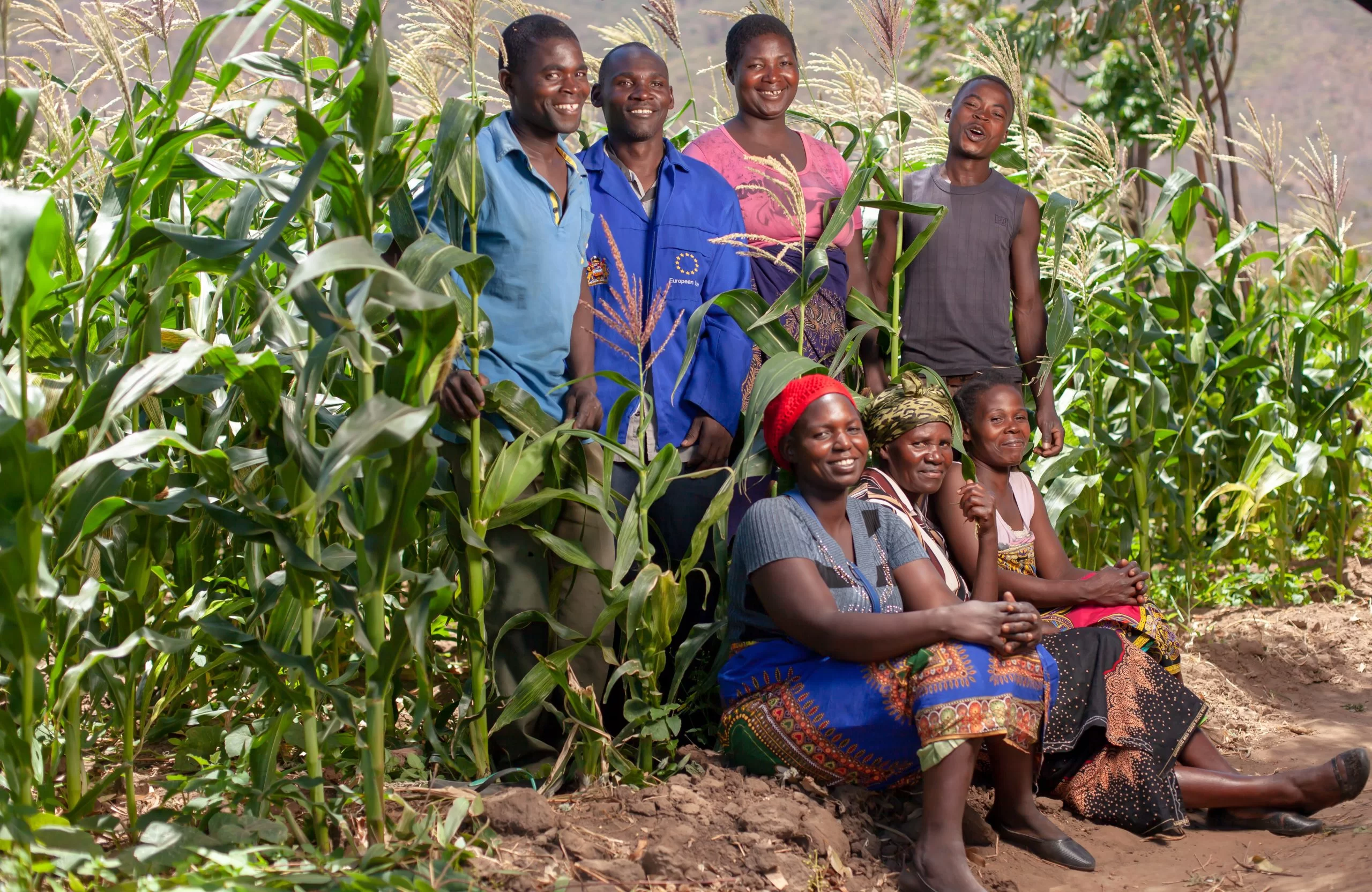 Smallholder Farmers
